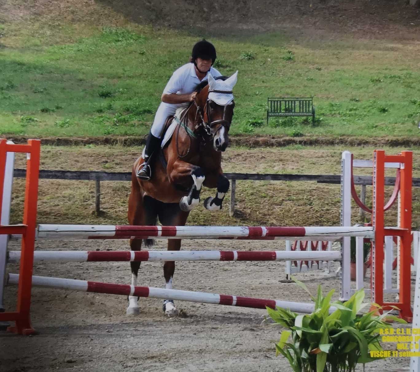 salto ad ostacoli con cavallo