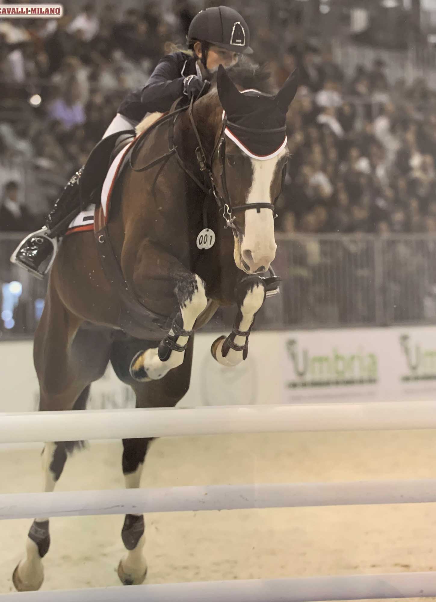cavallo che salta un ostacolo