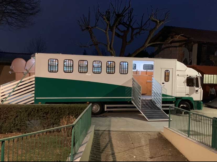 van per trasporto cavalli