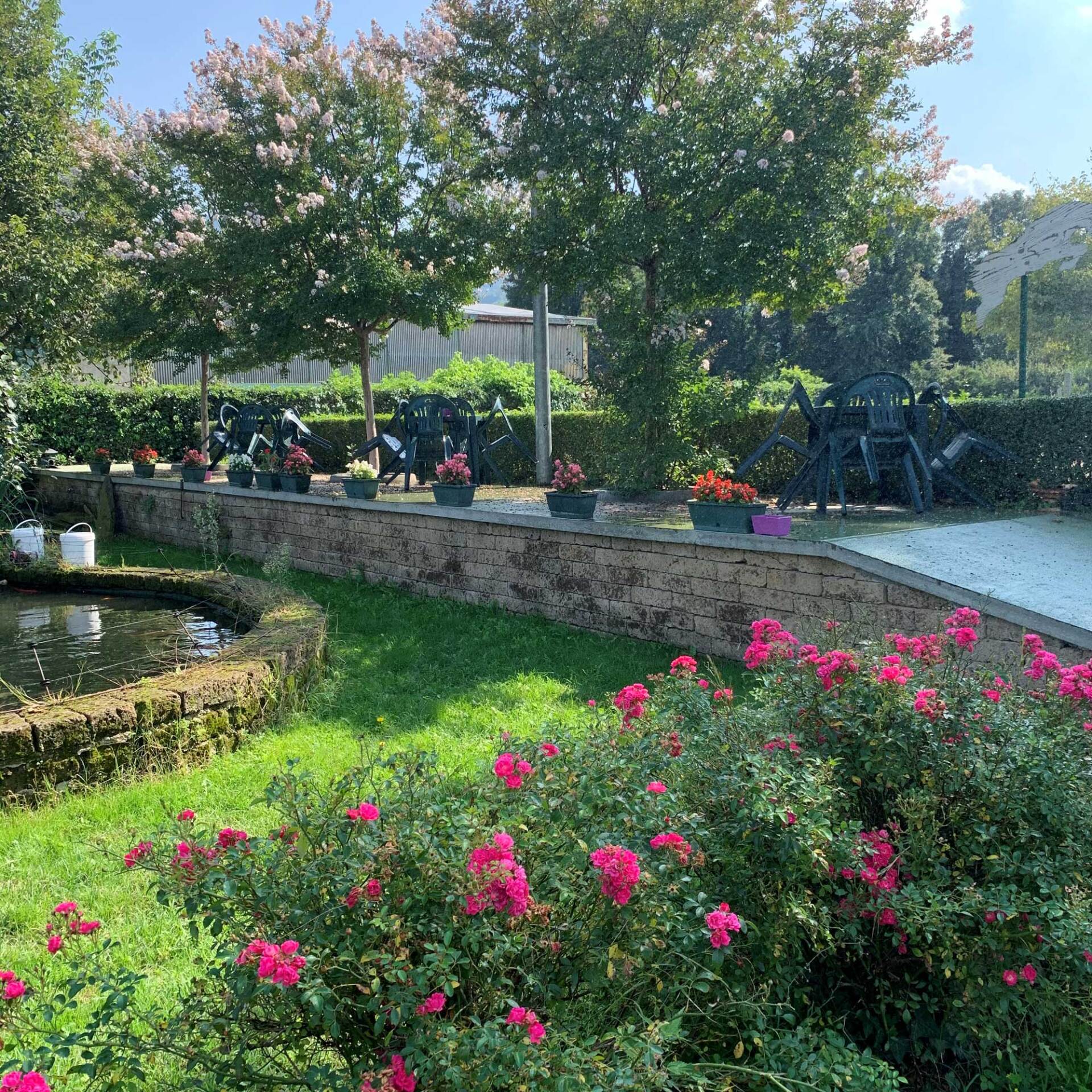 Servizi del maneggio