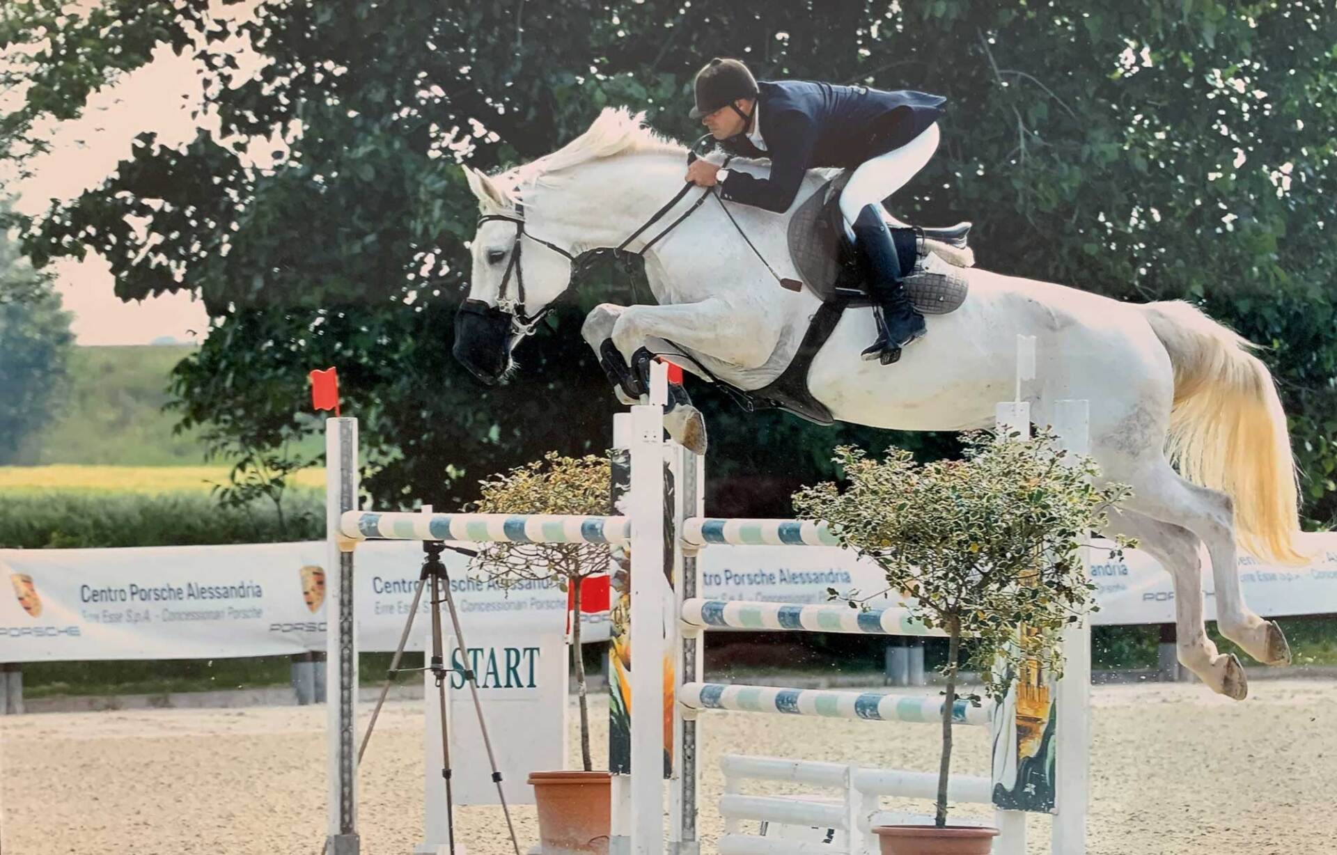 Struttura del maneggio cavalli