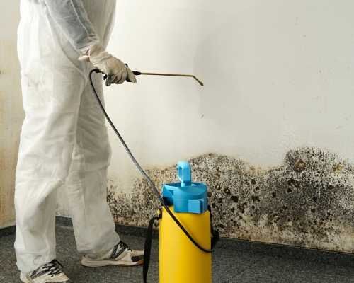 A man is spraying mold on a wall with a sprayer.