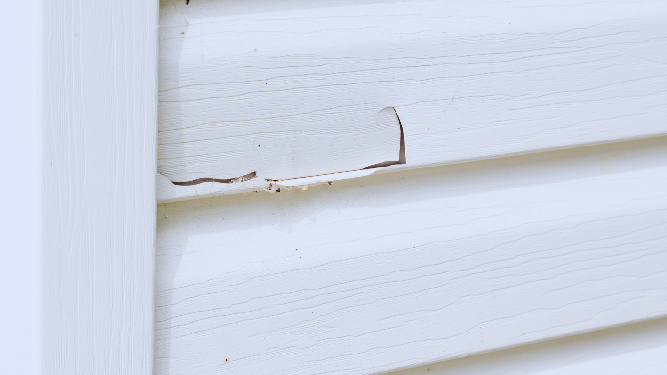 Damaged white siding on a house. Chipped paint reveals underlying material.