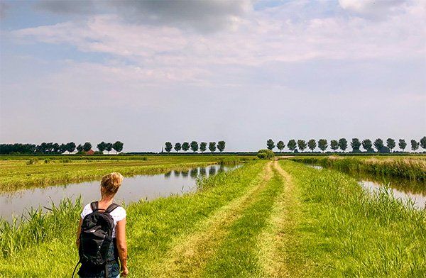 Verander je trek in alcohol in een nieuwe gezondere gewoonte, bijvoorbeeld wandelen
