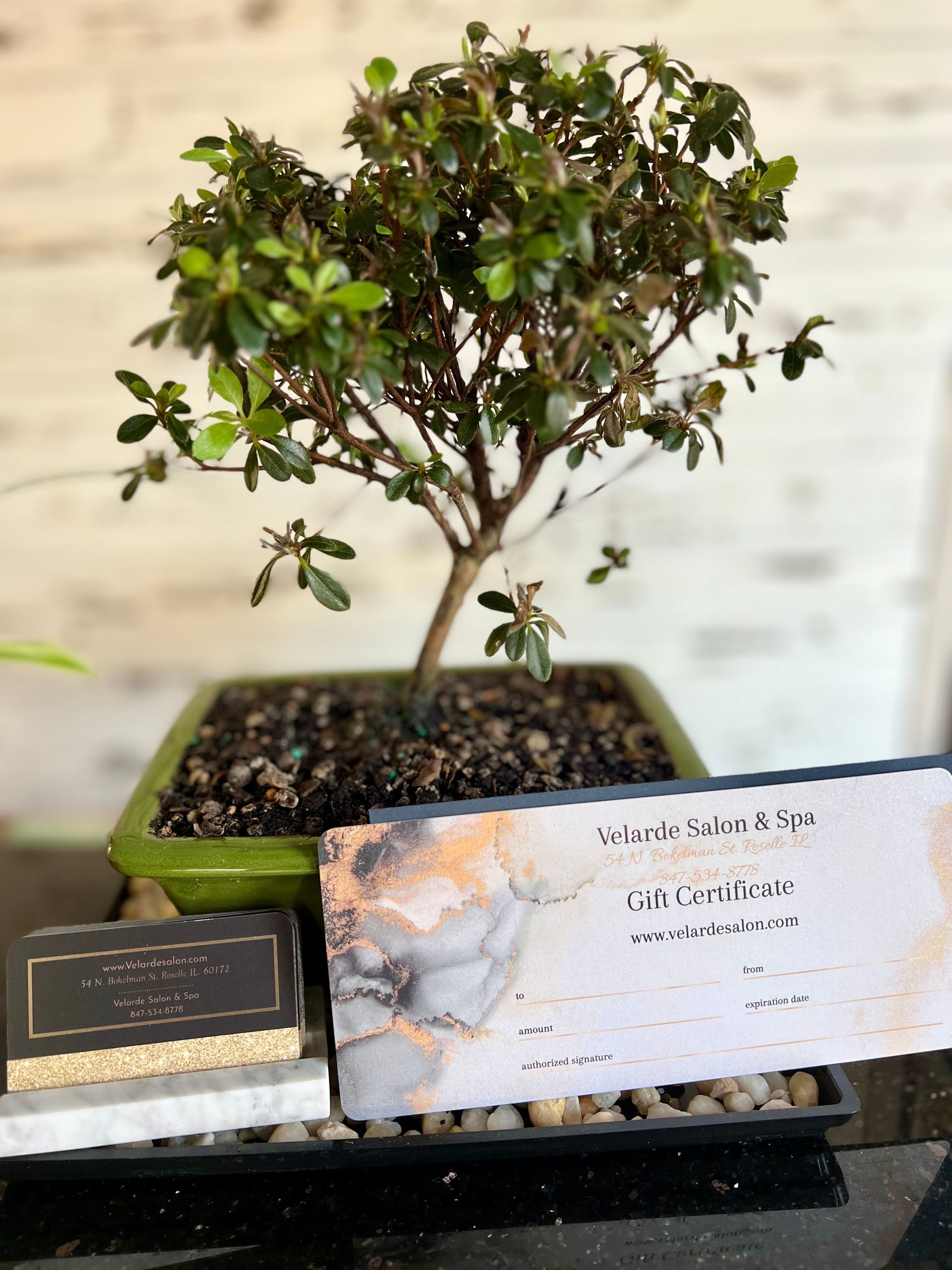 A small bonsai tree is sitting in a green pot on a table.