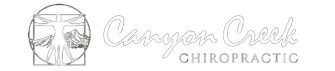 the logo for canyon creek chiropractic has a picture of a man in a circle .