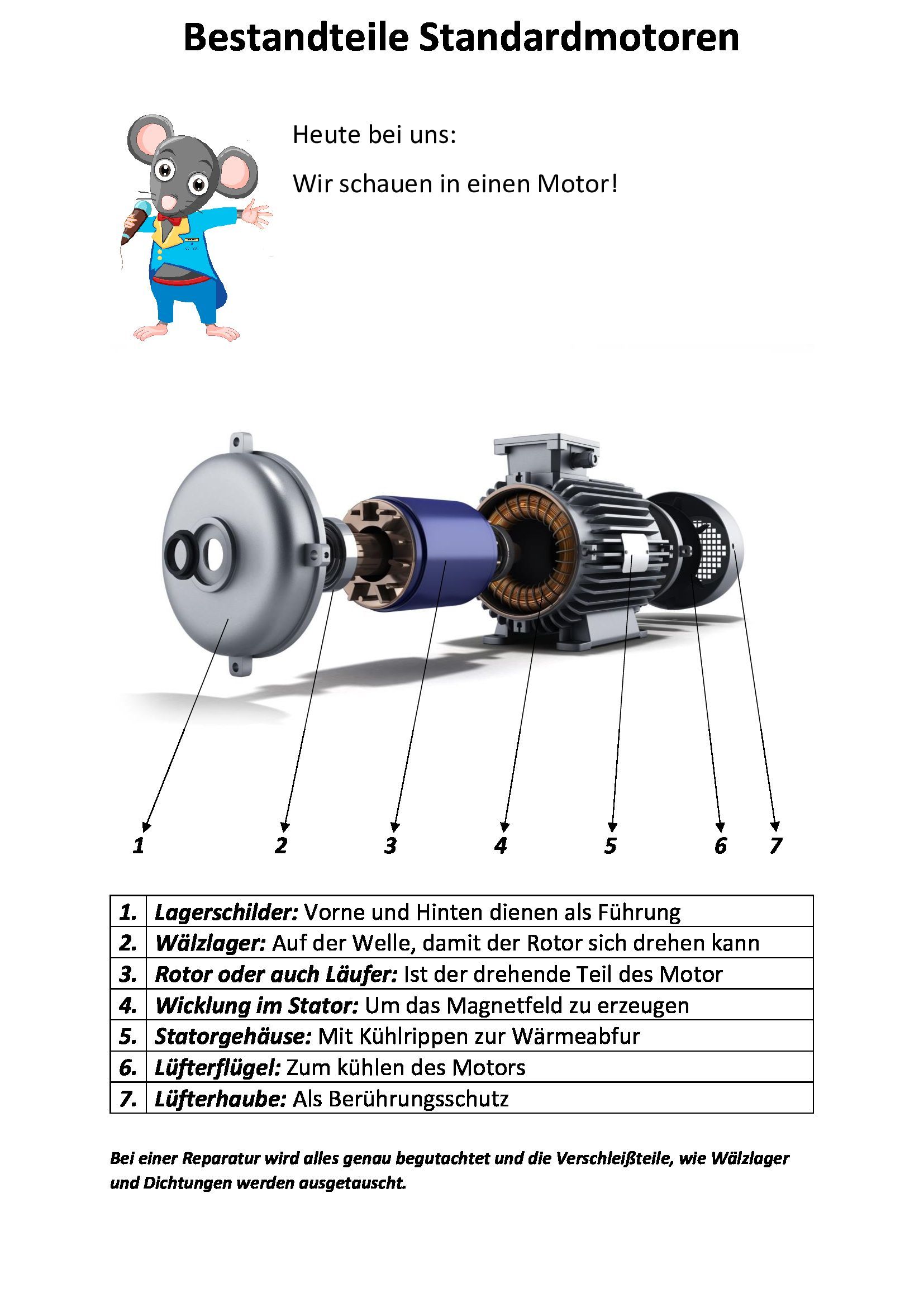 Bestandteile Elektromotor