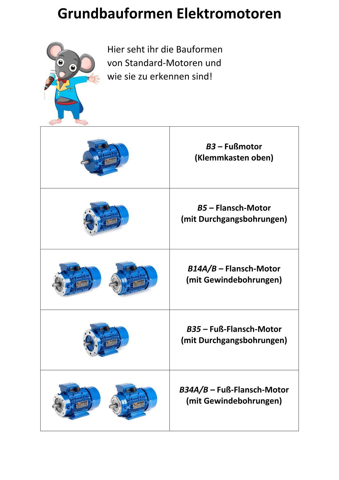 Grundbauformen von Elektromotoren
