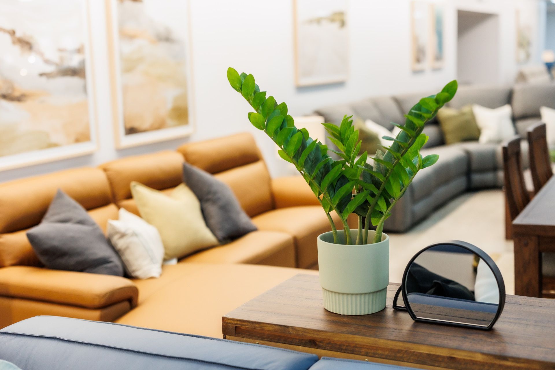 A Potted Plant is Sitting on a Wooden Table in a Living Room — The Comfort Zone Darwin In Winnellie, NT