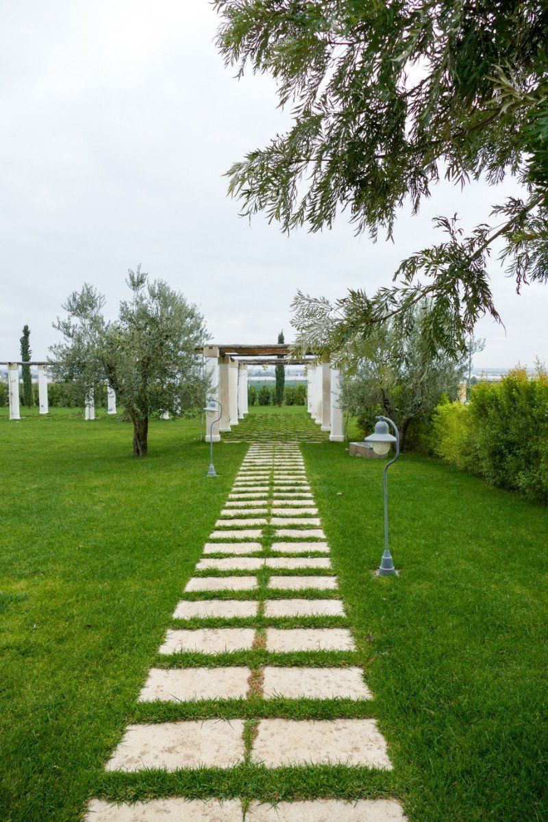 собственный сад агротуристического комплекса