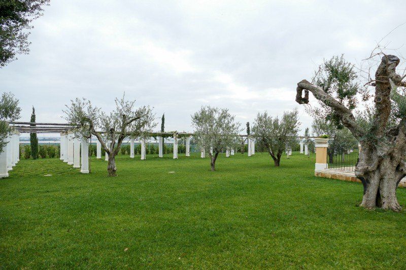 собственный сад фермерского хозяйства