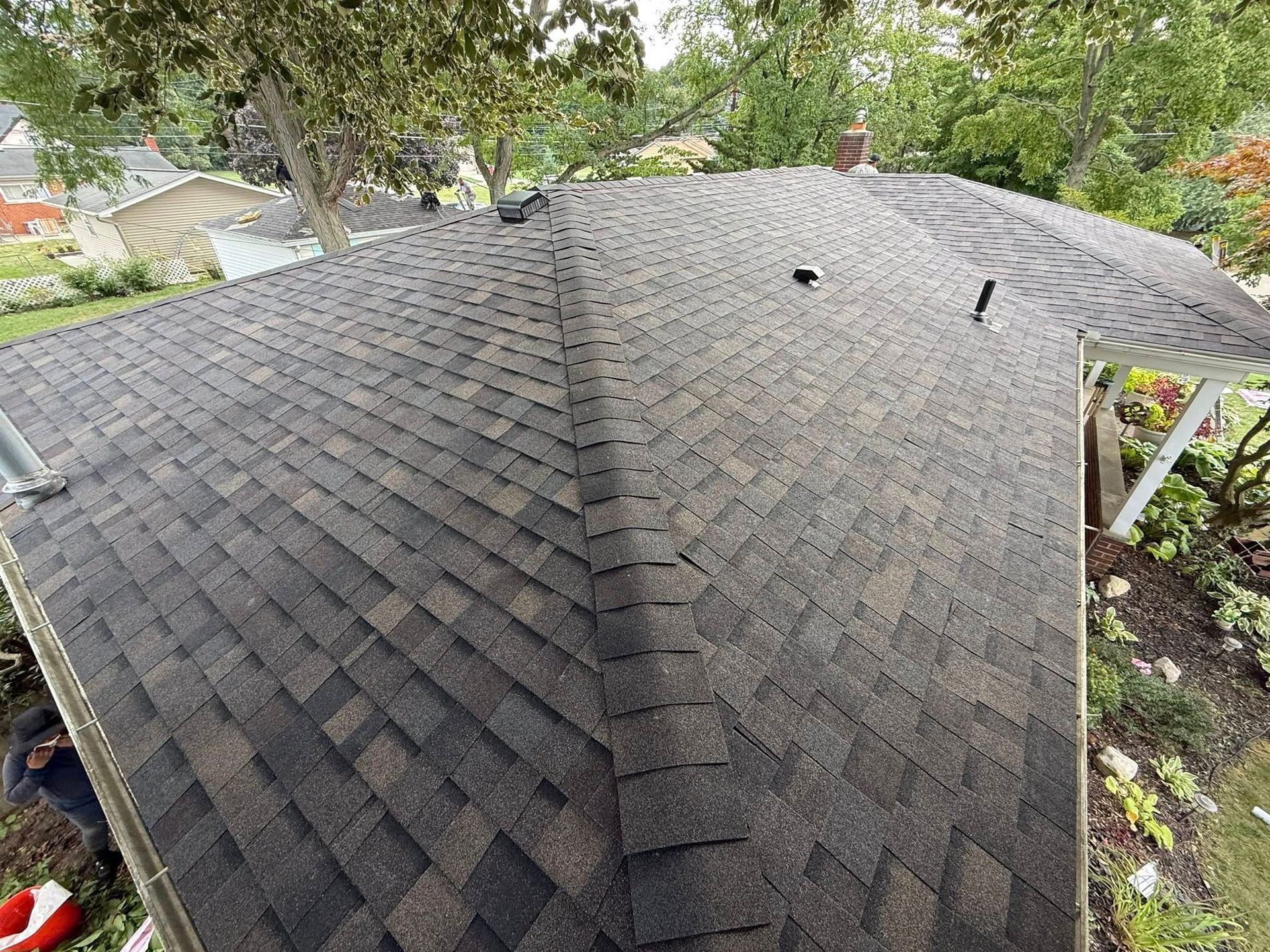 Dark asphalt shingle roof on a house, angled view. Tree branches and greenery surround.