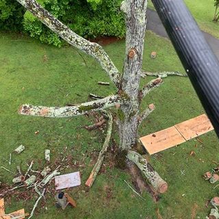 Cutted Branches Of Tree — Decatur, AL — DLC Tree Service