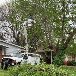 Man On A Bucket Truck With Trees — Decatur, AL — DLC Tree Service