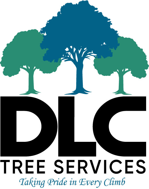 DLC Tree Services