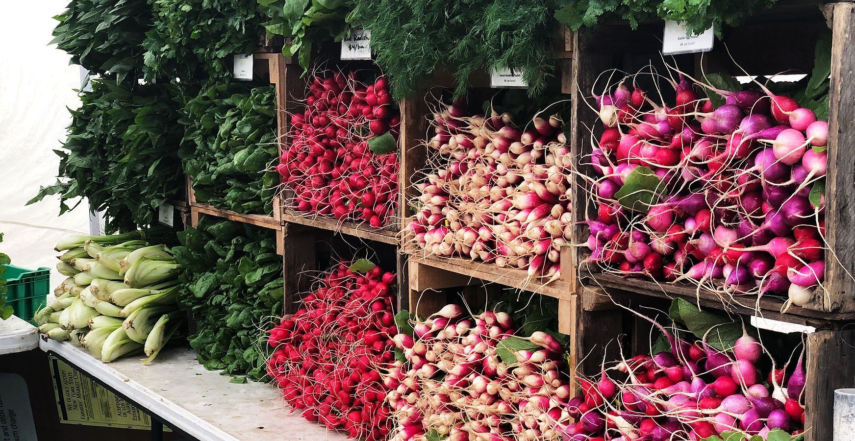 Présentoir de produits frais : radis, légumes verts, maïs sur un marché de producteurs.