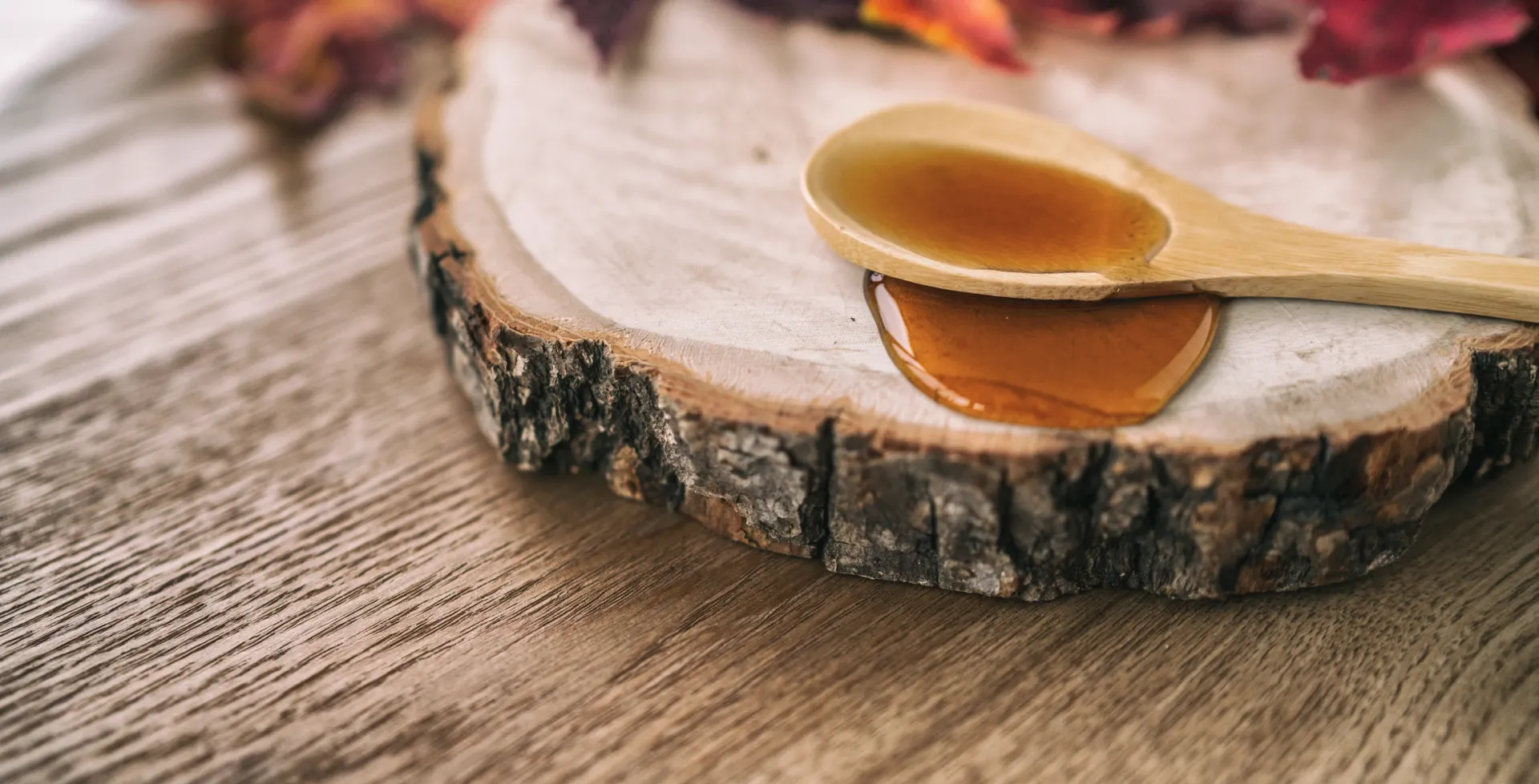 Projet Hôtel Spa Congrès Varennes - Hébergement Varennes - Salle réception - Congrès - Salles privées - Hébergement Varennes - Hôtel Montérégie - Hôtel Varennes - Hôtel Rive-sud - Hébergement Rive-Sud - Érablière Varennes - Saison sucre montérégie - Canada à sucre Varennes - Cabane à sucre rive-sud montréal