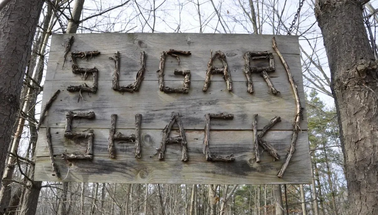 Panneau en bois portant l'inscription « SUGAR SHACK », fabriqué à partir de brindilles. Suspendu entre les arbres dans une zone boisée.