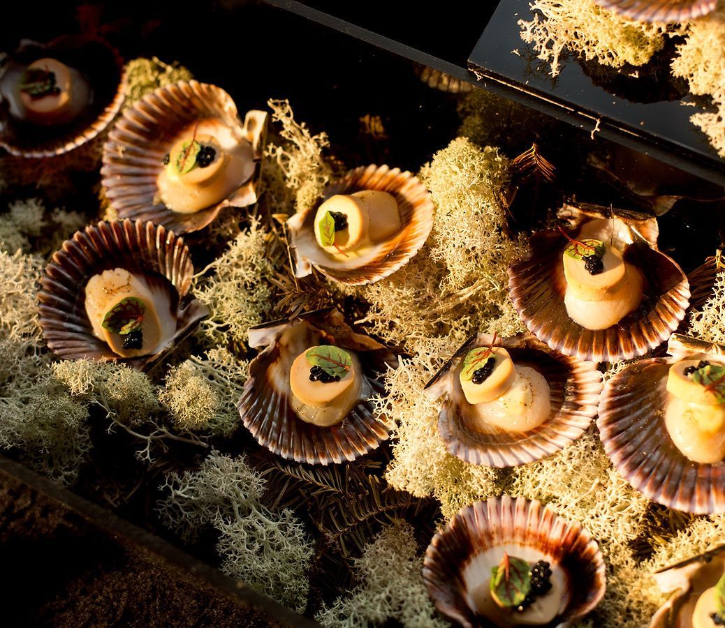 Apéritifs de coquilles Saint-Jacques en coquille, garnis de vert et de noir, disposés sur de la mousse.
