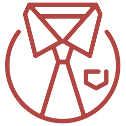 Icona Professionalità