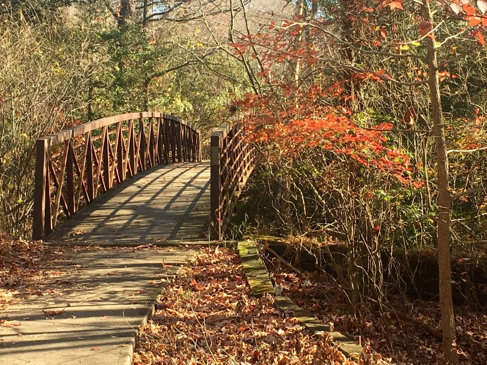 A wooden bridge in the middle of a forest surrounded by trees and leaves.