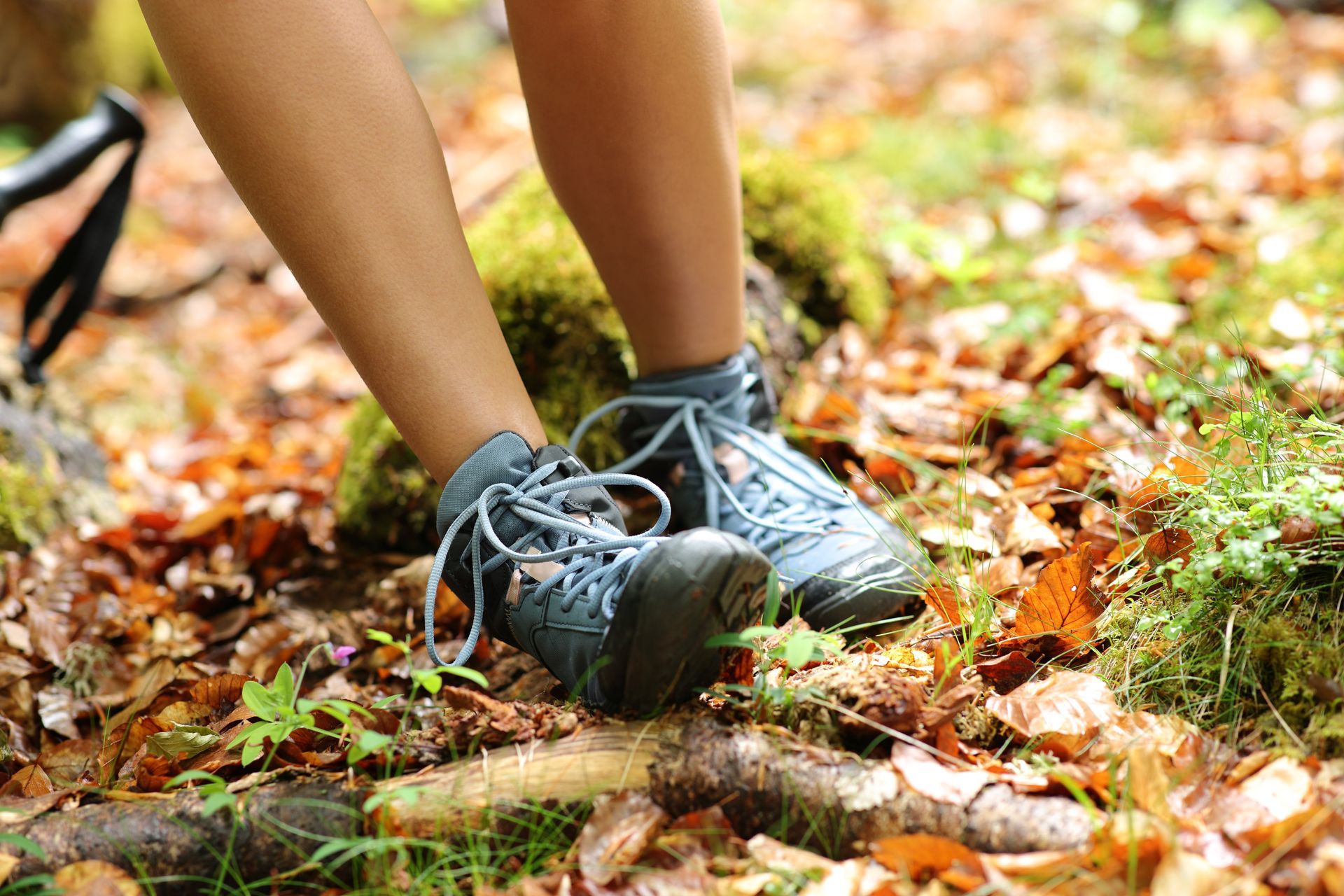 Hiking boots on a forest floor with fallen leaves, a hiking stick visible.