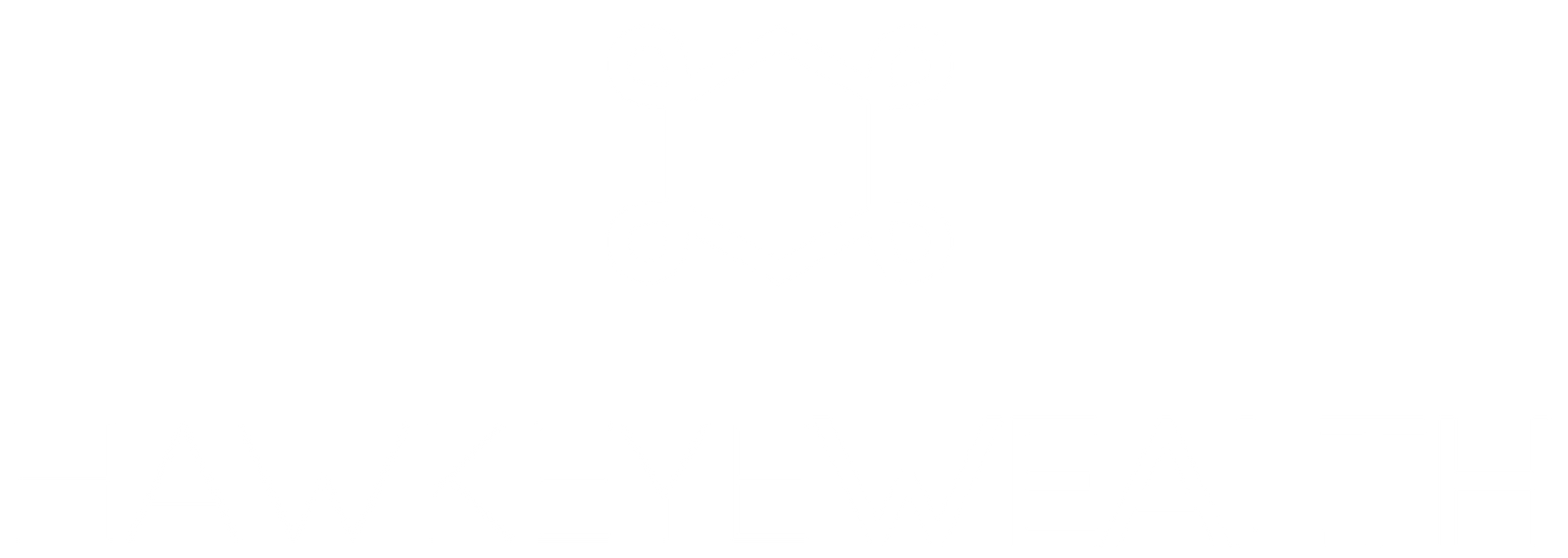 hawkeye wealth logo white