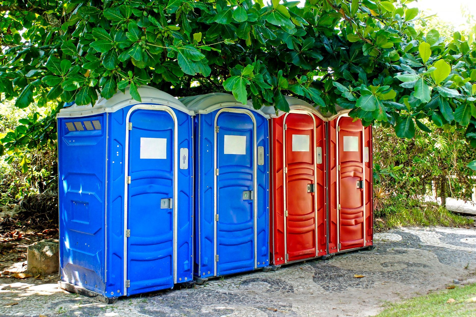 Blue and red portable toilets in a row, shaded by green foliage.