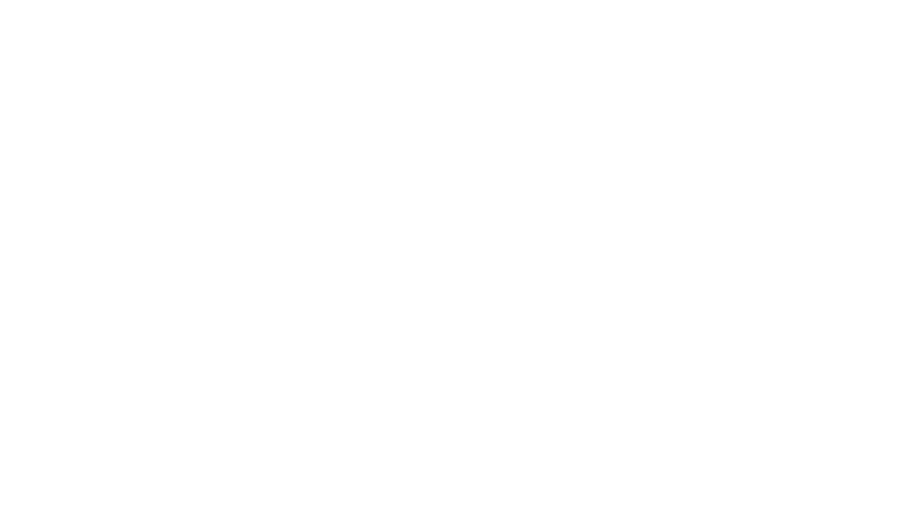 Lead Hounds SEO