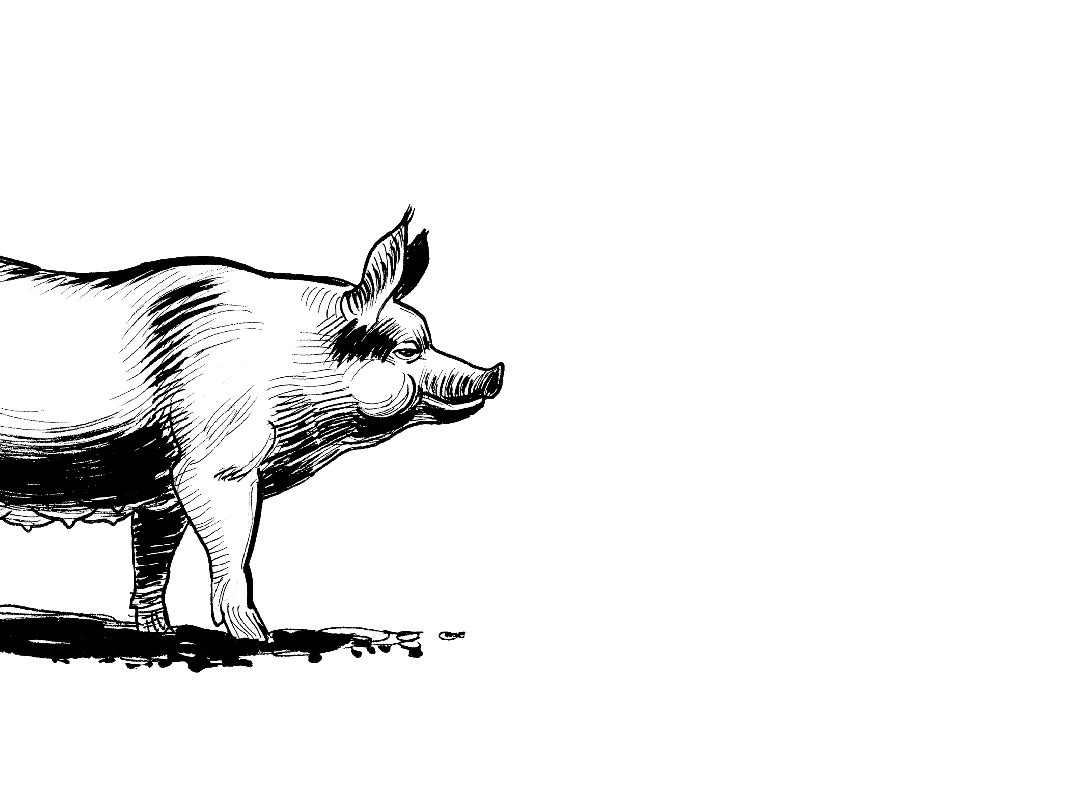 prodotti dal territorio