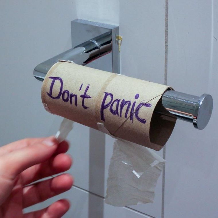une personne tient un rouleau de papier toilette qui dit ne paniquez pas