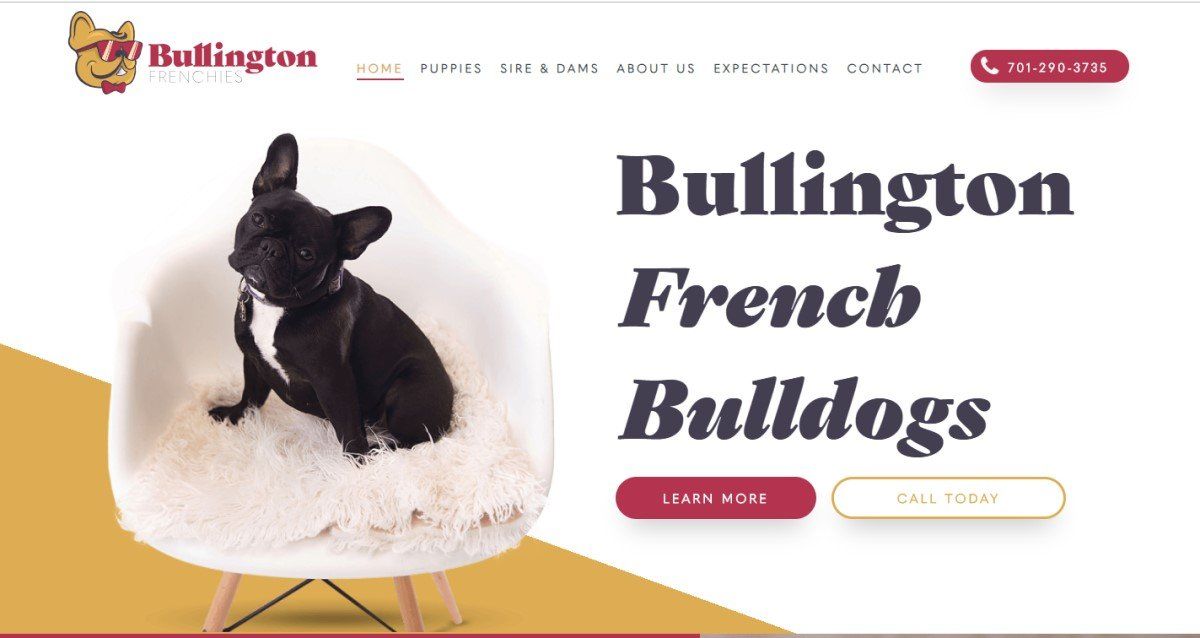 New Site Live Today - Bullington Frenchies!