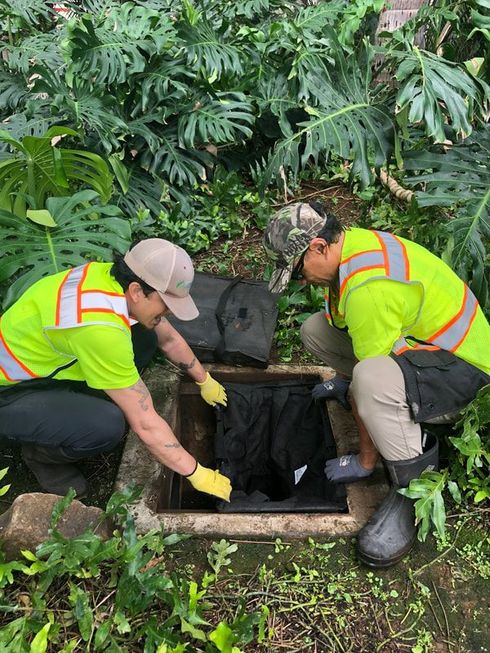 Two workers in high-visibility vests and protective gloves inspect an open utility access hole set in a garden area.