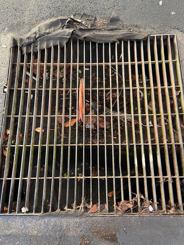 A metal storm drain grate set in pavement, cluttered with fallen leaves and a piece of discarded plastic.