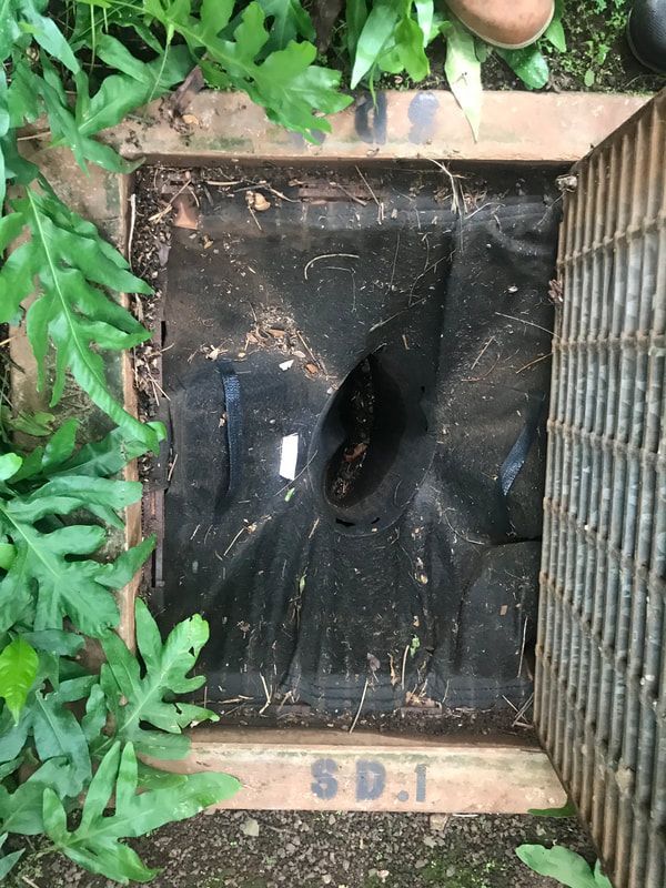 A black fabric sediment filter insert inside a storm drain labeled S.D.1 set into the ground.