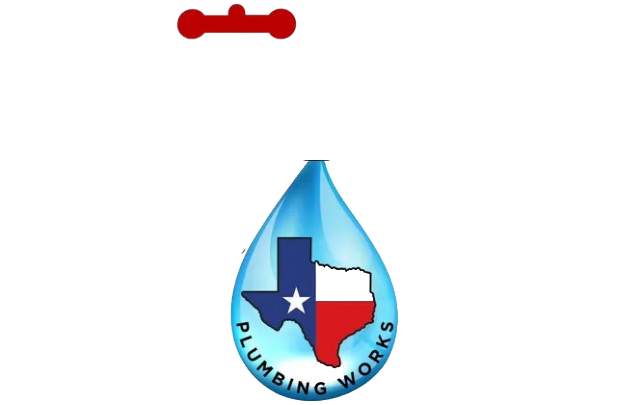Lone Star Plumbing Works 