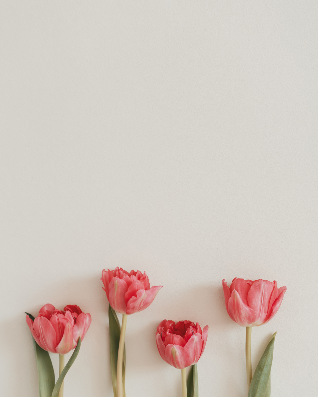 Sound Bath Meditation Klangreise Ritual Circle