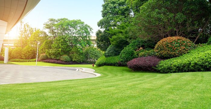 Landscaping — Commercial Landscaping in Lombard, IL