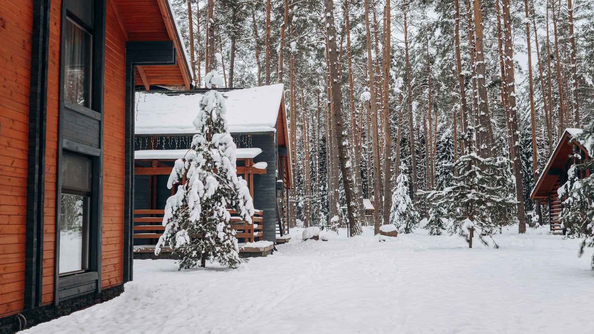 Snow-covered cabin and evergreen trees in a snowy forest setting.