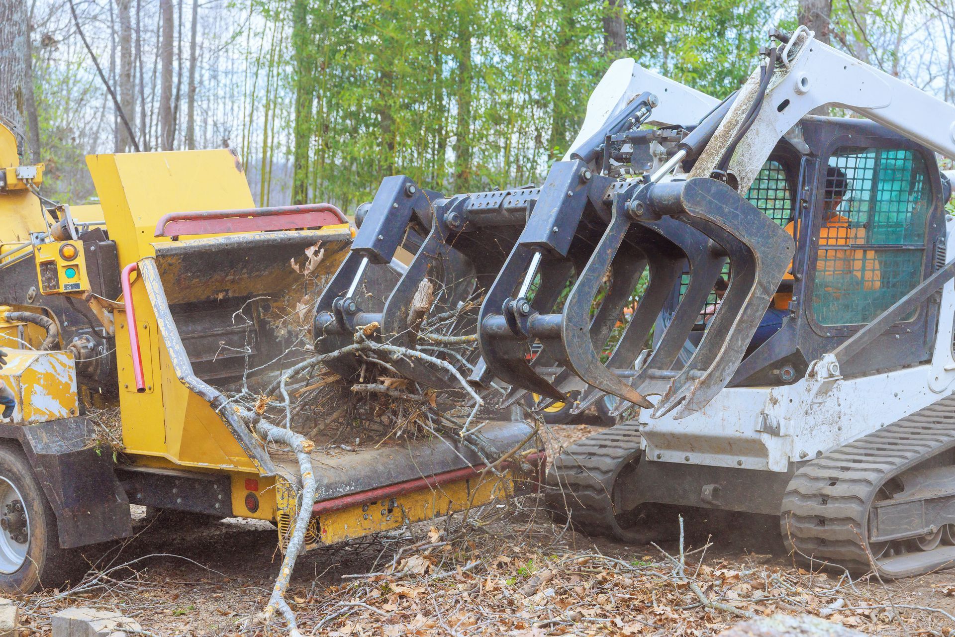A skid steer with grapple arms feeds tree branches into a yellow wood chipper in a wooded area.