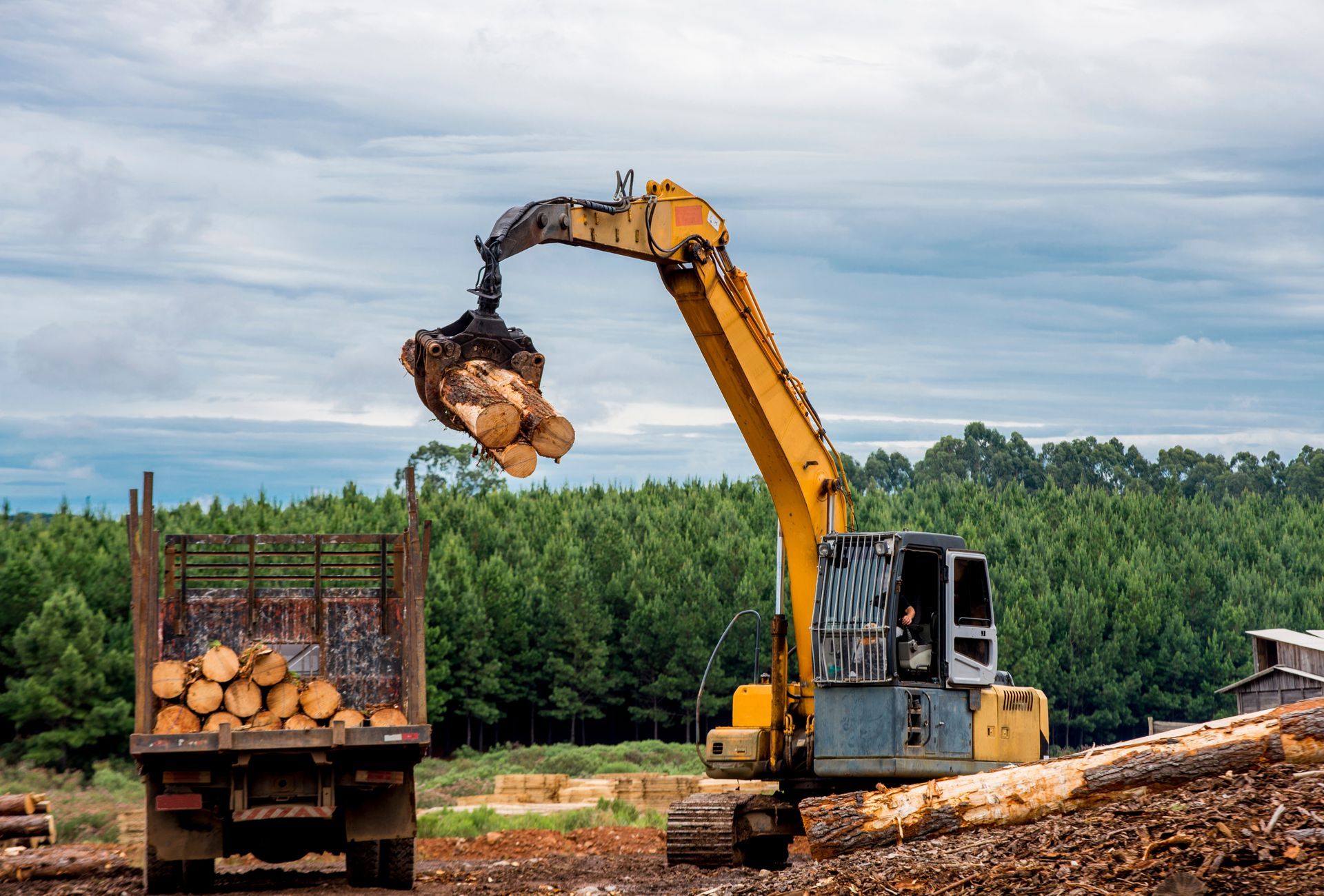 Yellow excavator loading logs onto a truck at a lumberyard, with a forest in the background.