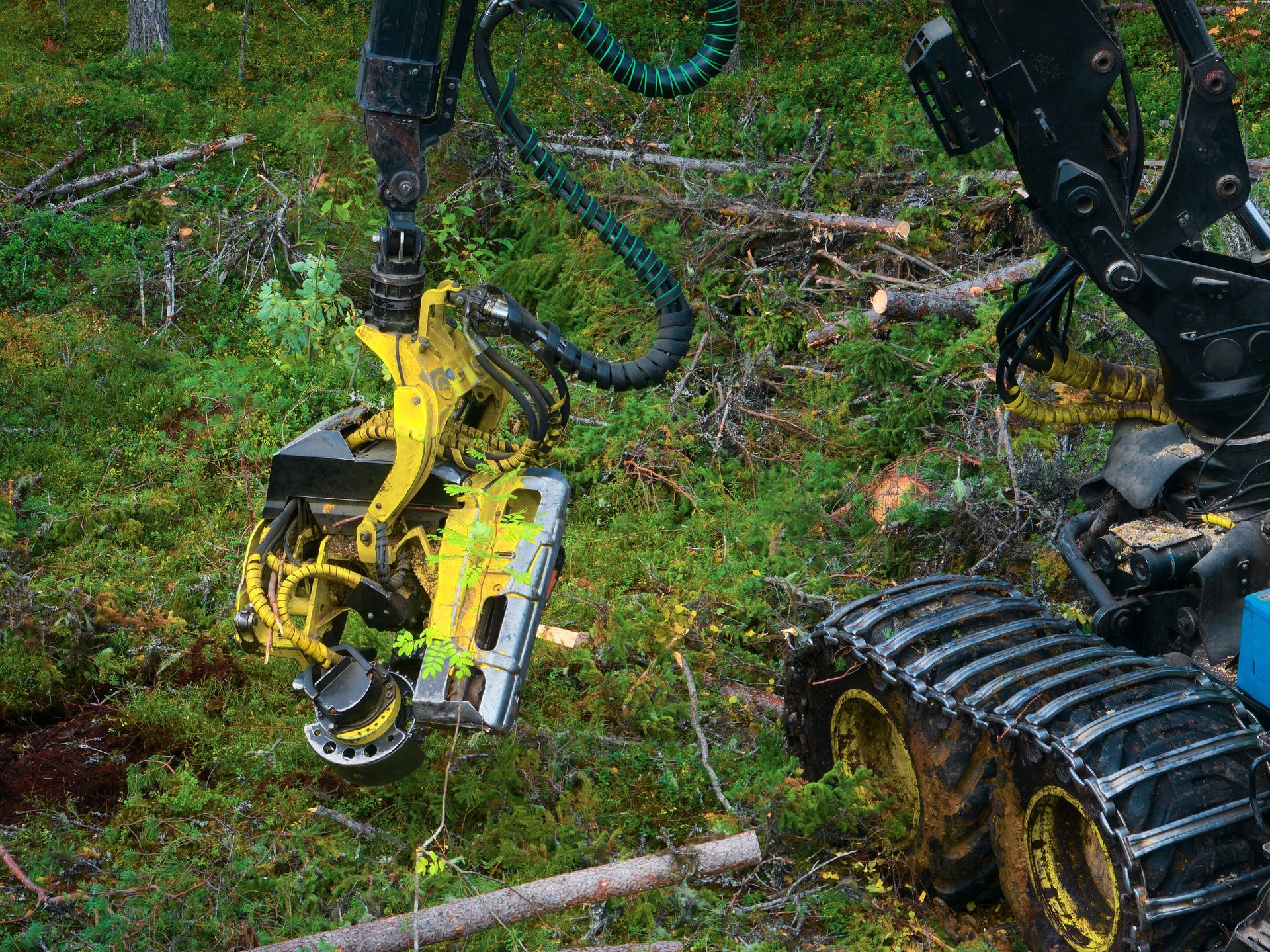 A yellow forestry harvester head grips a log in a forest setting. The machine's tracks are visible.