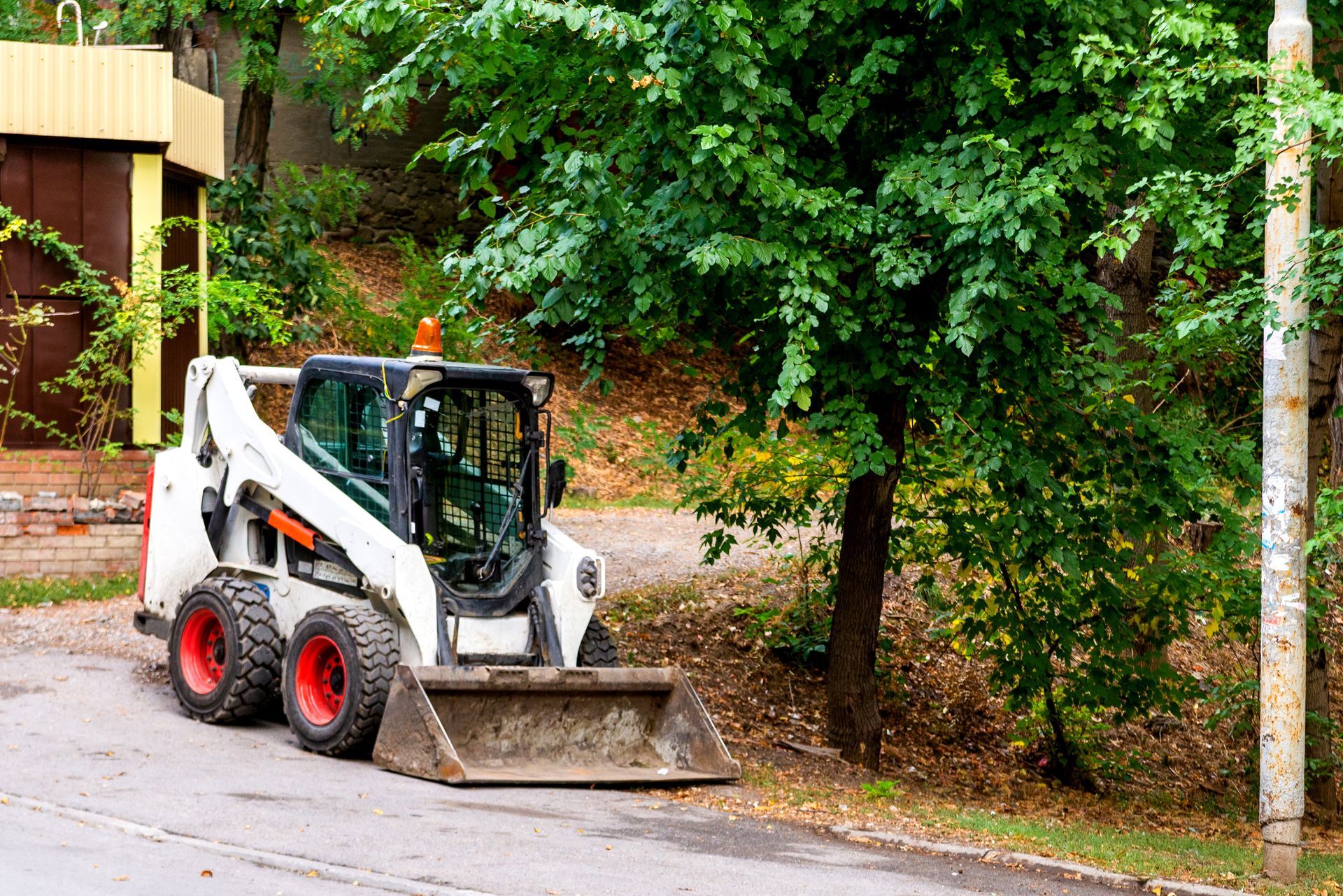 White skid steer loader parked next to a tree and a light pole on an asphalt road.