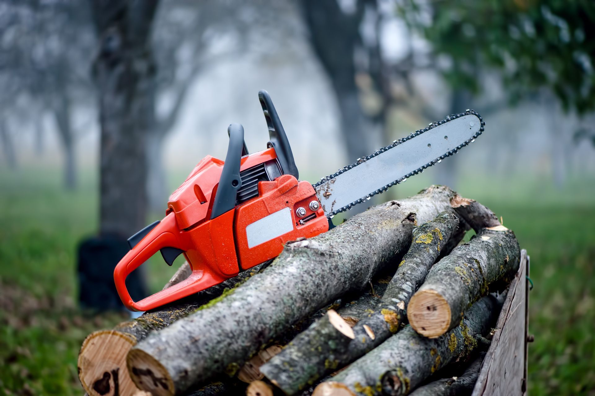 Orange chainsaw resting on a pile of cut logs outdoors.