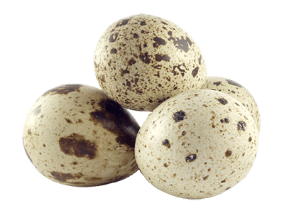 Svaigas paipalu olas | Paipalu ferma- EKA Paipalas
