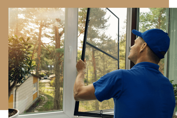 siding of house