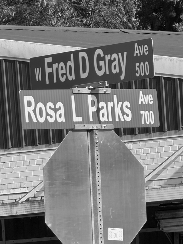 Street signs for Fred D Gray Ave and Rosa L Parks Ave at an intersection