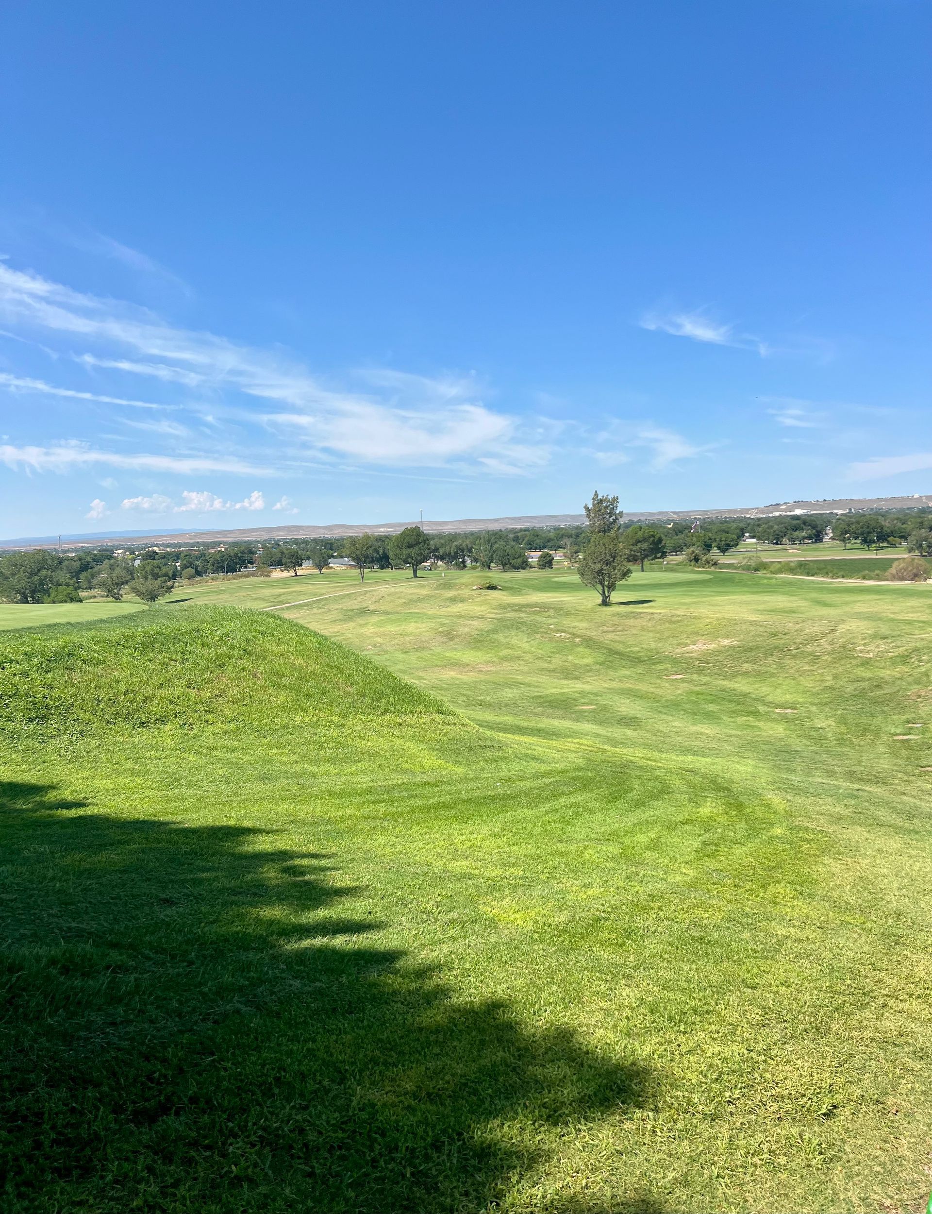 Green golf course under a clear blue sky, with trees and a distant horizon visible.