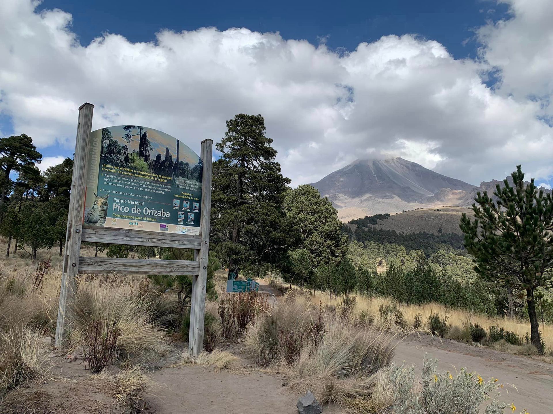 Shoes For Runners donations and runners