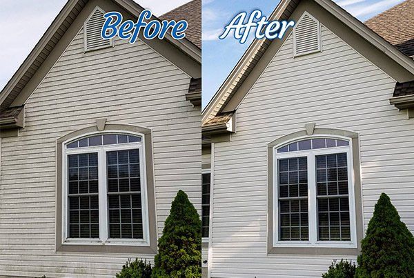 soft washing house siding before and after comparison of house washing results